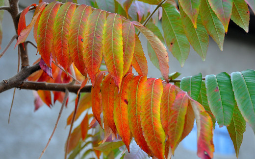 304137 (a): :2560x1600